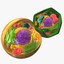 Eukaryote cells - Animal & Vegetal Cells
